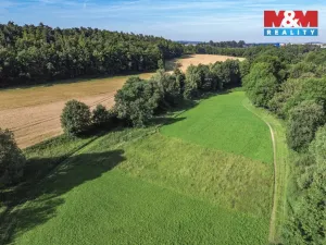 Pronájem louky, Plzeň - Koterov, 3297 m2