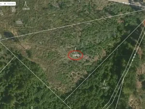 Prodej lesa, Tehov - Nemíž, 3892 m2