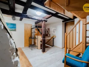 Prodej rodinného domu, Dolní Moravice, 480 m2