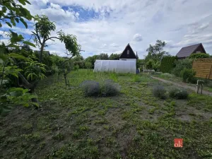 Prodej chaty, Hradec Králové - Nový Hradec Králové, Zahrádkářská osada Zlatá růže, 20 m2
