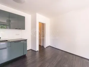 Pronájem bytu 3+kk, Praha - Žižkov, Olgy Havlové, 72 m2