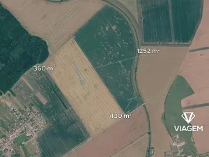 Prodej pole, Mistřice, 1706 m2