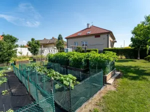 Prodej vícegeneračního domu, Veltruby, Nová, 340 m2