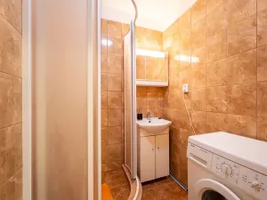 Prodej bytu 2+1, Brno, Stará osada, 68 m2