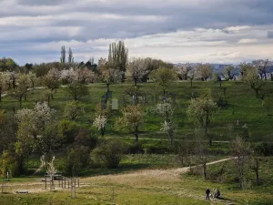 Pronájem bytu 3+kk, Praha, Nad Smetankou, 86 m2