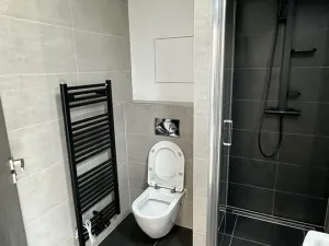 Pronájem bytu 1+kk, Plzeň, Pilařská, 31 m2