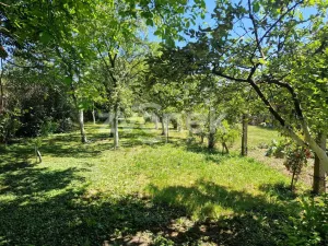 Prodej rodinného domu, Uherský Brod - Těšov, Dr. Horáka, 130 m2