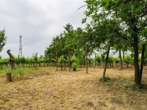 Prodej rodinného domu, Nový Poddvorov, 104 m2