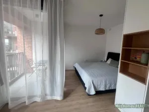 Pronájem bytu 1+kk, Praha - Smíchov, U Lihovaru, 31 m2