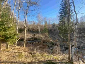 Dražba pozemku, Železná Ruda, 1644 m2
