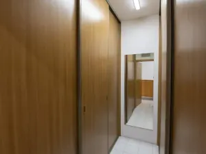 Prodej bytu 4+1, Brno, Plachty, 104 m2