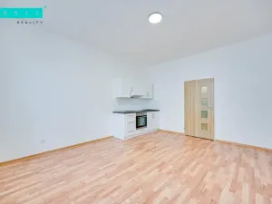 Pronájem bytu 1+kk, Olomouc - Nová Ulice, Resslova, 35 m2