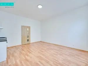 Pronájem bytu 1+kk, Olomouc - Nová Ulice, Resslova, 35 m2