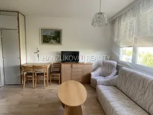 Pronájem bytu 1+1, České Budějovice - České Budějovice 2, J. Opletala, 35 m2
