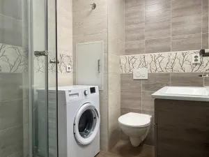 Pronájem bytu 1+kk, Františkovy Lázně, Anglická, 20 m2