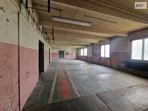 Pronájem výrobních prostor, Příbram - Bytíz, 193 m2