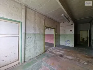 Pronájem výrobních prostor, Příbram - Bytíz, 193 m2