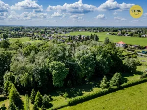 Prodej lesa, Orlová - Lutyně, 1028 m2