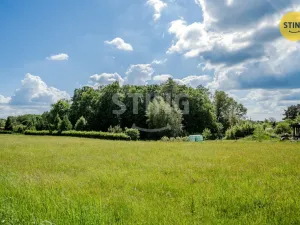Prodej lesa, Orlová - Lutyně, 1028 m2