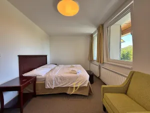 Prodej bytu 1+kk, Loučná nad Desnou - Rejhotice, 26 m2