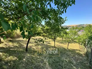 Prodej zahrady, Hustopeče, 530 m2