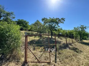 Prodej zahrady, Hustopeče, 530 m2