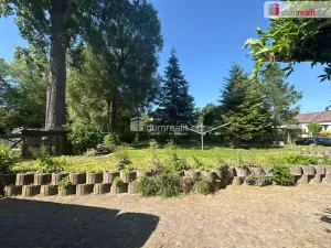 Prodej rodinného domu, Bor - Ostrov, 390 m2
