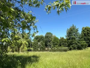 Prodej rodinného domu, Bor - Ostrov, 390 m2