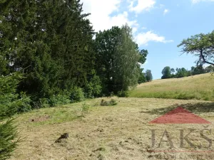 Prodej pozemku pro bydlení, Kašperské Hory, 1205 m2