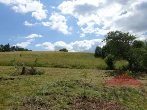 Prodej pozemku pro bydlení, Kašperské Hory, 1205 m2