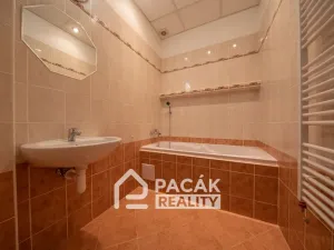 Pronájem bytu 3+1, Olomouc, Kollárovo nám., 123 m2