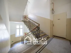 Pronájem bytu 3+1, Olomouc, Kollárovo nám., 123 m2