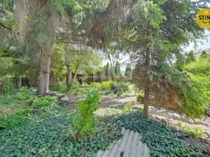 Prodej chalupy, Louka, 90 m2