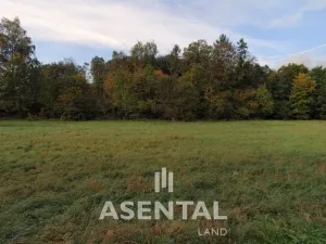 Prodej pozemku, Orlová - Poruba, Těšínská, 4096 m2