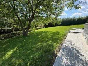 Prodej chaty, Úštěk - Habřina, Habřinská stráň, 64 m2
