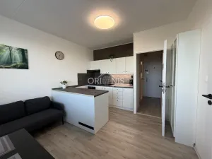 Prodej bytu 1+1, Chomutov, Stavbařská, 40 m2