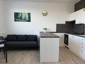 Prodej bytu 1+1, Chomutov, Stavbařská, 40 m2