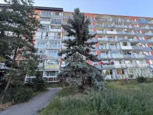 Prodej bytu 1+1, Chomutov, Stavbařská, 40 m2