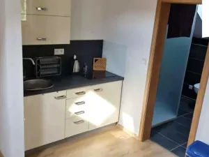 Pronájem bytu 1+kk, Břehov, 32 m2