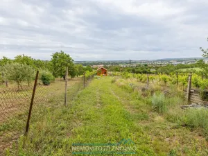 Prodej chaty, Dobšice, K Hájku, 40 m2