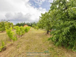 Prodej zahrady, Dobšice, K Hájku, 1078 m2