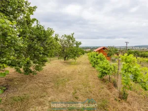 Prodej zahrady, Dobšice, K Hájku, 1078 m2
