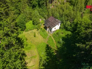 Prodej lesa, Jablonec nad Jizerou - Dolní Tříč, 18052 m2