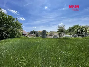 Prodej pozemku pro bydlení, Holubice, 7245 m2