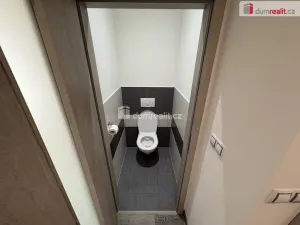 Pronájem bytu 3+kk, Město Touškov, Čemínská, 55 m2
