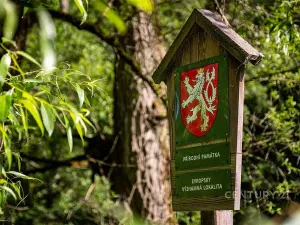 Prodej chaty, Dolní Dvořiště, 50 m2