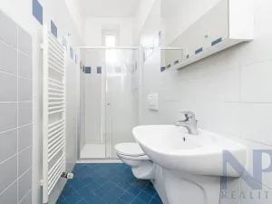 Pronájem bytu 3+kk, Praha - Vinohrady, Šumavská, 54 m2