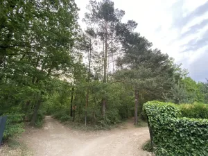 Prodej lesa, Vráž, 3233 m2