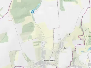 Prodej lesa, Hradčovice, 207 m2