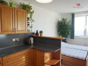 Pronájem bytu 1+kk, Praha - Troja, Hnězdenská, 39 m2